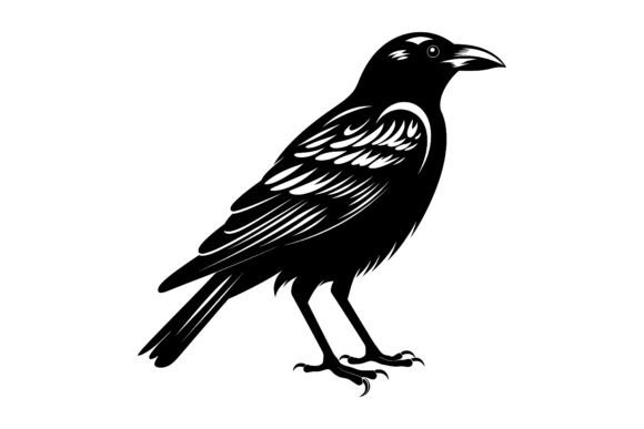 Elegant Silhouette of a Raven: A Designer's Guide